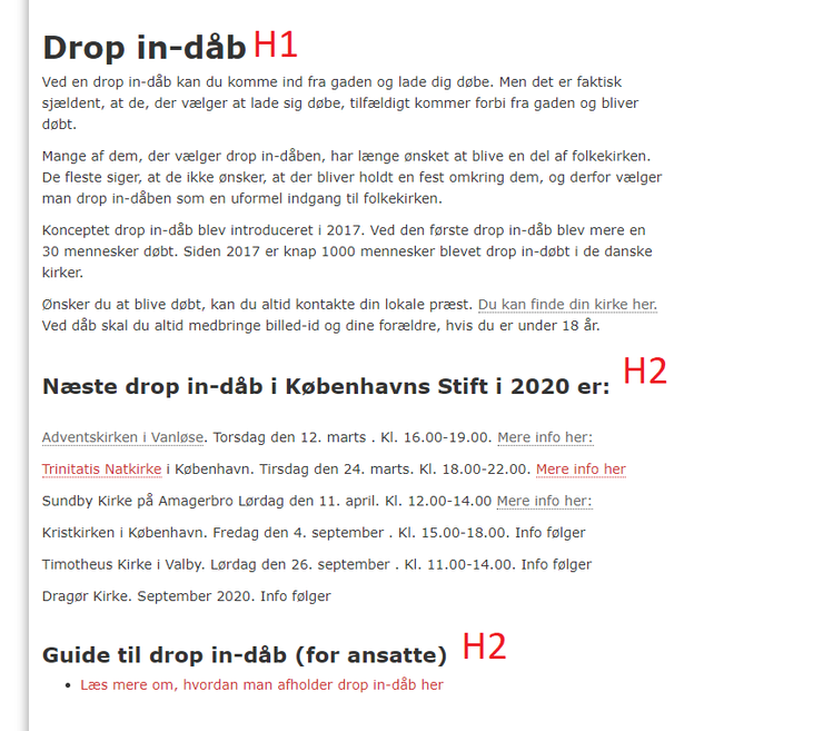 Skærmbillede fra hjemmeside, hvor overskrifter er markeret